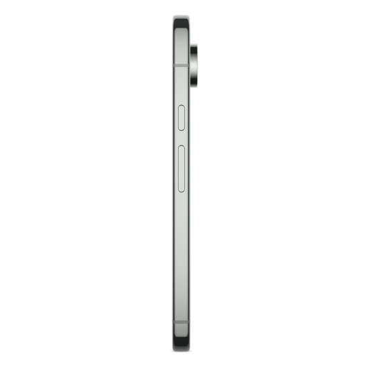 Google Pixel 9 Pro 16/128Gb Зеленый (US)