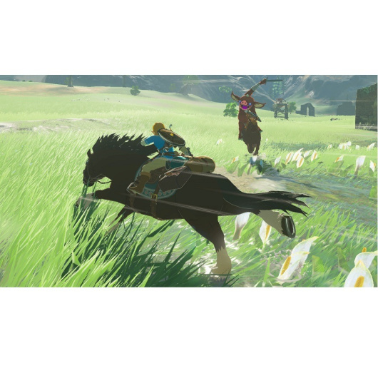 The Legend of Zelda: Breath of the Wild,русская версия (Nintendo Switch)